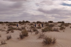 IMG_20211016_102831